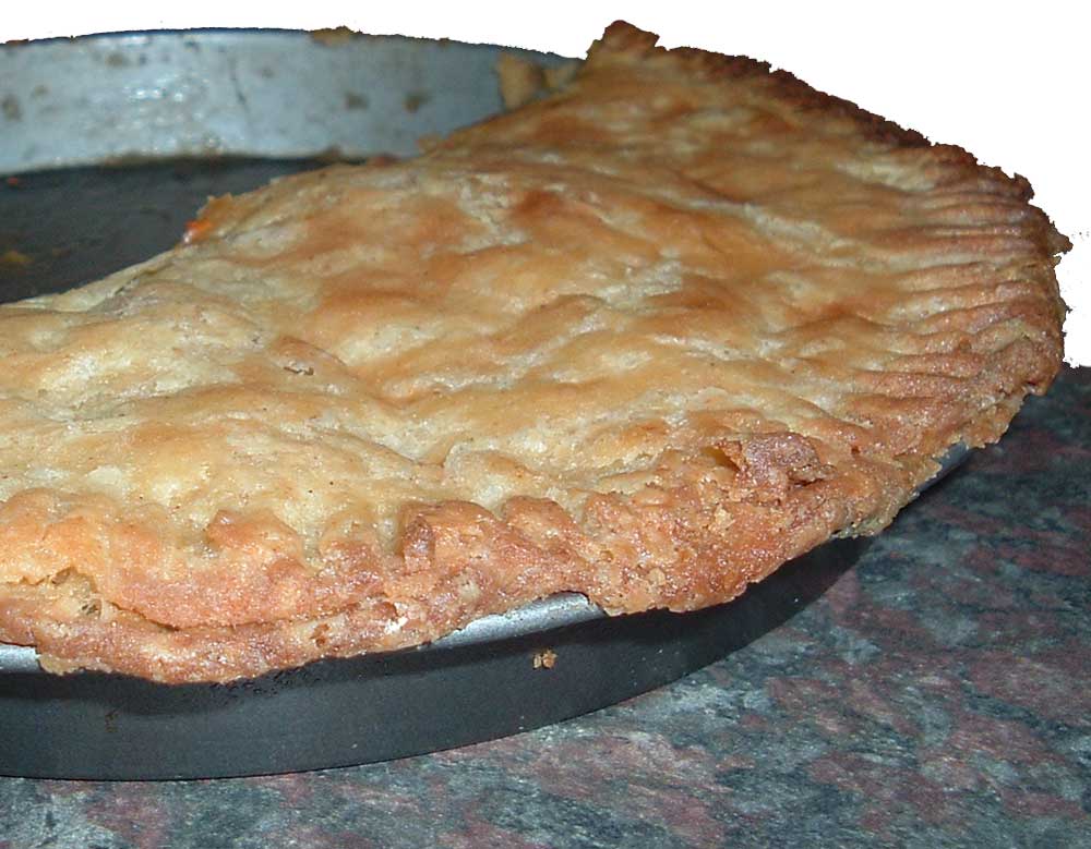 South African chicken pie